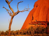 Uluru, ganz nah dran