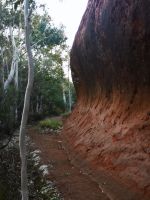 Uluru, ganz nah dran
