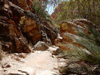 Wanderung Standley Chasm 