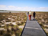 Weg zum Salzsee, Lake Thetis
