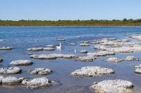 Westaustralien - Lake Thetis (1).jpg