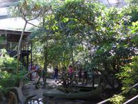 Wildlife Habitat Port Douglas