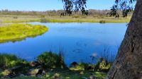Yanchep National Park, Western Australia 