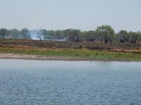 Yellow River 