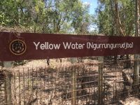 Yellow Water