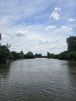 Yellow Waters