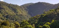 Zugfahrt von Kuranda zurück nach Cairns