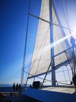 Zurück unter gesetzten Segeln, Great Barrier Reef