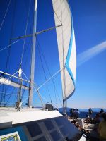 Zurück unter gesetzten Segeln, Great Barrier Reef