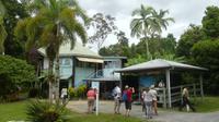 am Daintree River