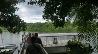 am Daintree River