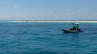 am Great Barrier Reef, Koralleninsel Michaelmas Cay