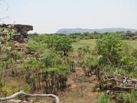 am Ubirr Felsen