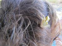 ein Frosch im Haar