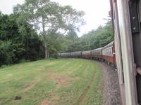 im Scenic Train