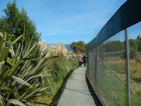 im Vogelpark