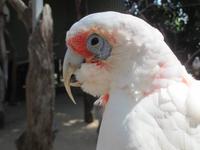 im Wildlife Park