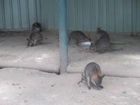 im Wildlife Park