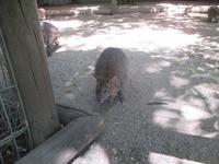 im Wildlife Park