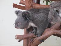im Wildlife Park