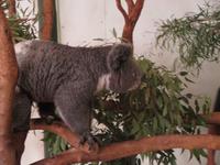 im Wildlife Park