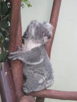 im Wildlife Park