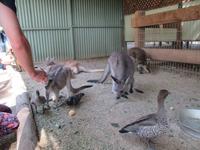 im Wildlife Park