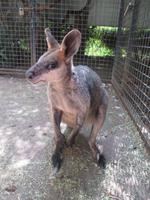 im Wildlife Park