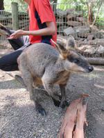 im Wildlife Park