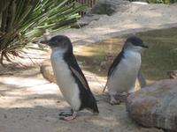 im Wildlife Park