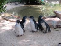 im Wildlife Park