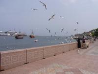 Hafen von Muscat