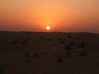 Sonnenuntergang zur WÜstensafari