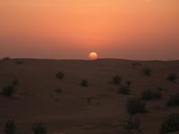 Sonnenuntergang zur WÜstensafari