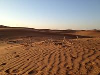 034 Jeepsafari in das 'Leere Viertel' - Rub al Khali &ndash; &copy; Patrick Fritzsche (Eberhardt TRAVEL)