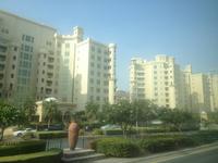 048 auf der Palm Jumeirah &ndash; &copy; Patrick Fritzsche (Eberhardt TRAVEL)