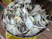 153 Fischmarkt Abu Dhabi (V.A.E.) &ndash; &copy; Patrick Fritzsche (Eberhardt TRAVEL)