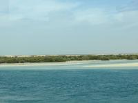 195 Mangroven in der Lagune von Abu Dhabi &ndash; &copy; Patrick Fritzsche (Eberhardt TRAVEL)