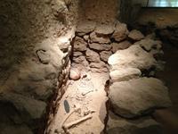 228 Nationalmuseum Bahrain &ndash; &copy; Patrick Fritzsche (Eberhardt TRAVEL)