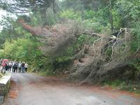 ...ein kleiner Zwischenfall...