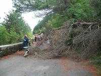 ...schnelle Abhilfe...