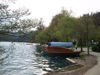 Bled