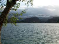 Bled