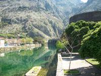 Kotor