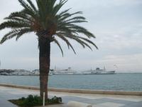 Split