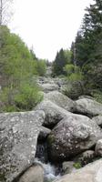 011_Steinfluss im Witoschagebirge