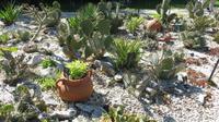 087_Botanischer Garten in Baltschik