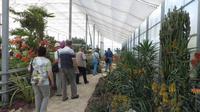 088_Botanischer Garten in Baltschik - im Kakteenhaus