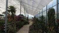 092_Botanischer Garten in Baltschik - im Kakteenhaus