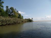 Die Mündung des Kamtschia - Bulgarien